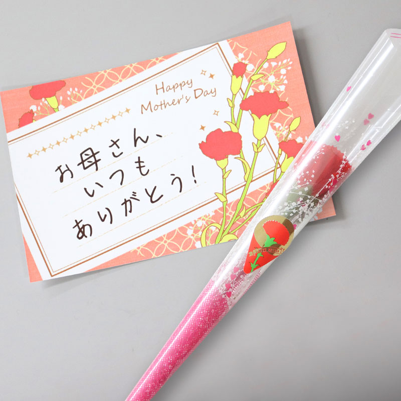 【母の日限定仕様】柿の葉寿司 5色20個入