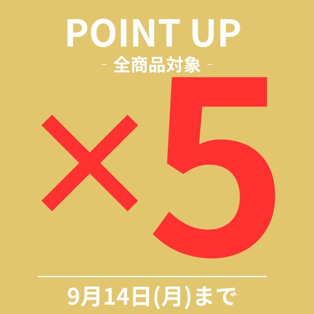 ポイントアップ