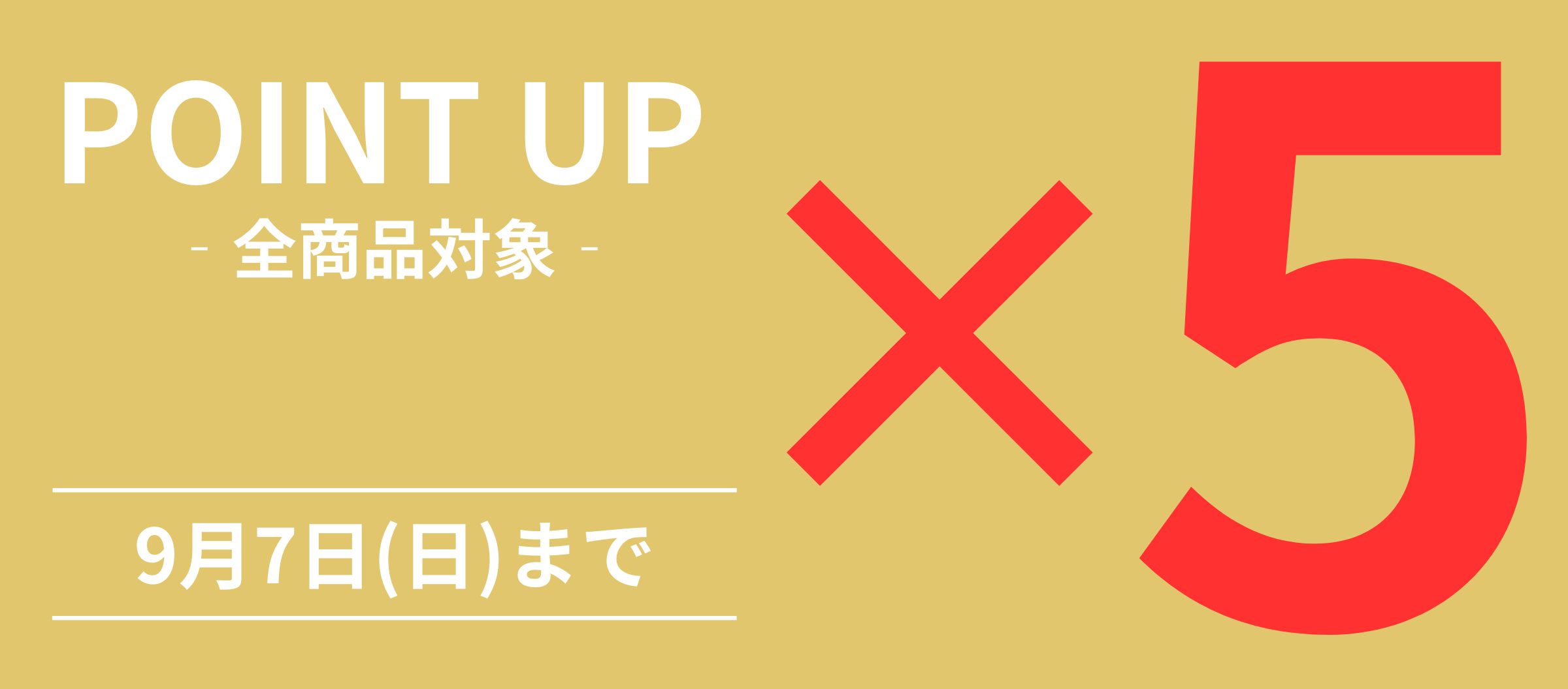 ポイントアップ