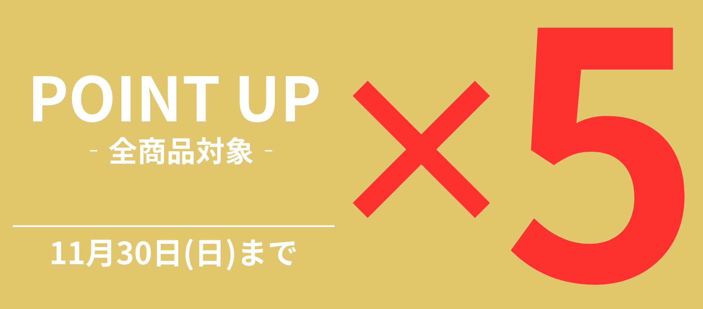 ポイントアップ